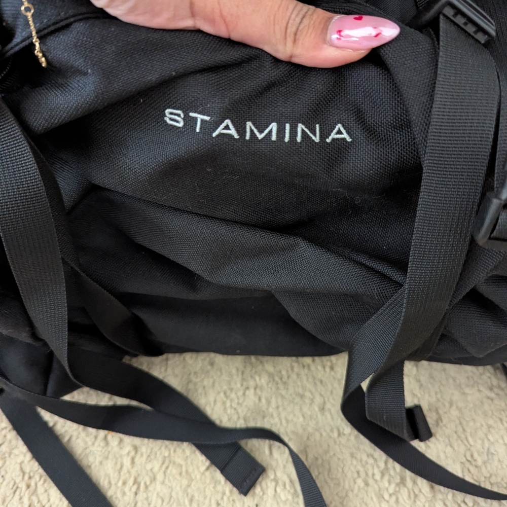 Northface Stamina Backpacking Backpack - image 3